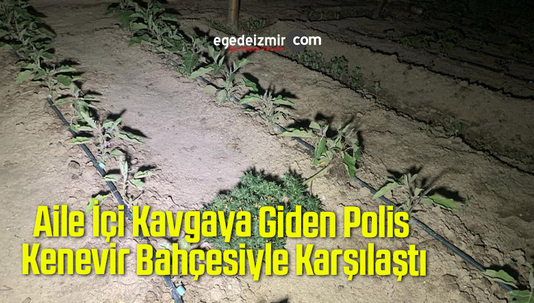 kenevir