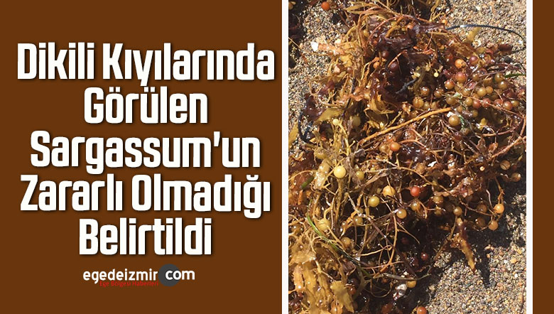 kıyılarında