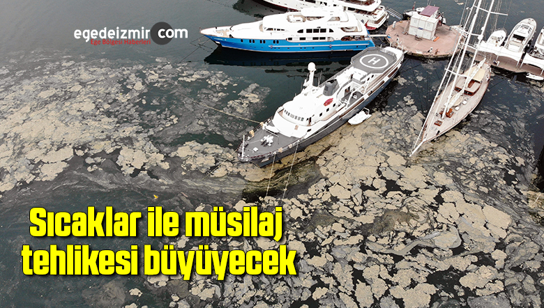 müsilaj