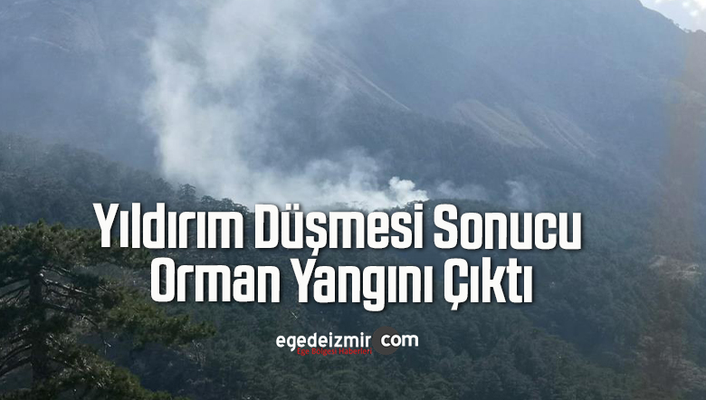 orman yangını