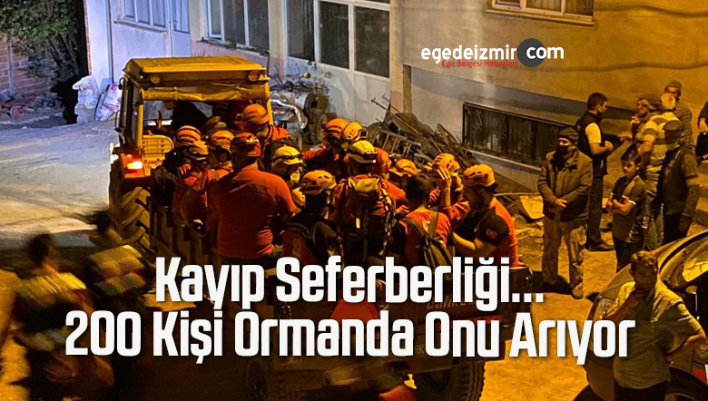 ormanda