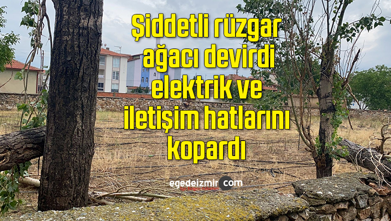 rüzgar