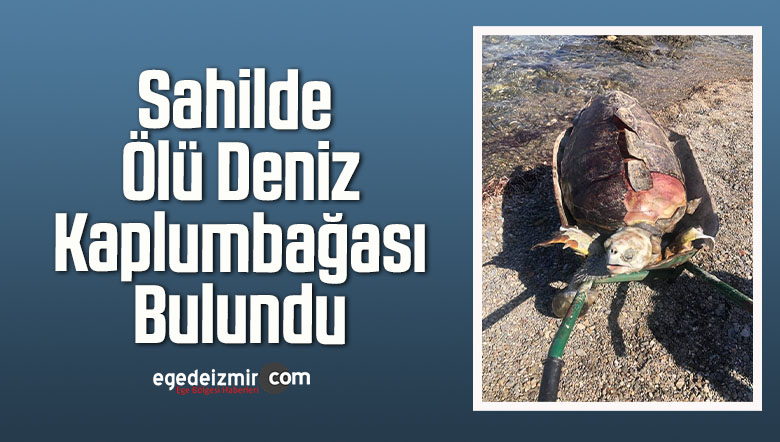 sahilde
