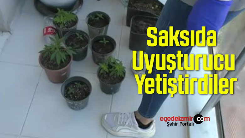saksılara dikili
