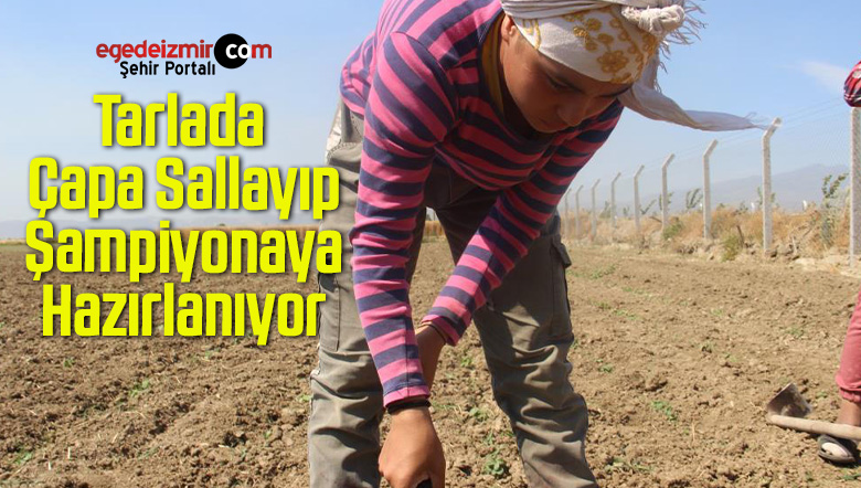 şampiyonaya