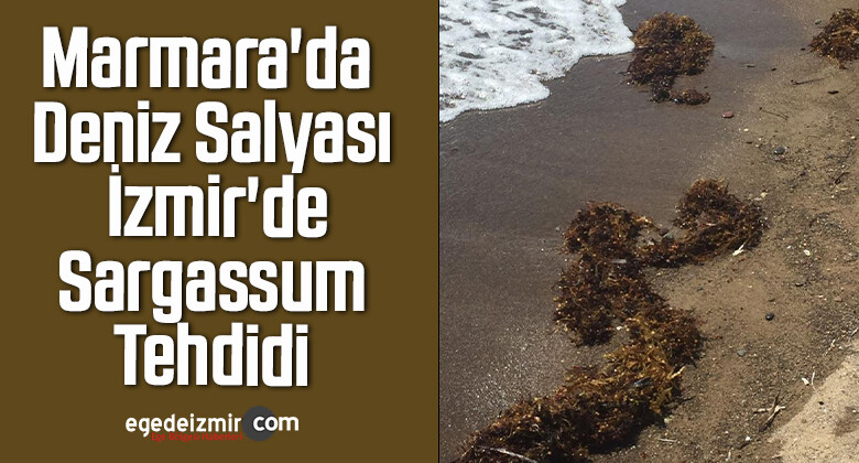 Marmara’da Deniz Salyası, İzmir’de Sargassum Tehdidi