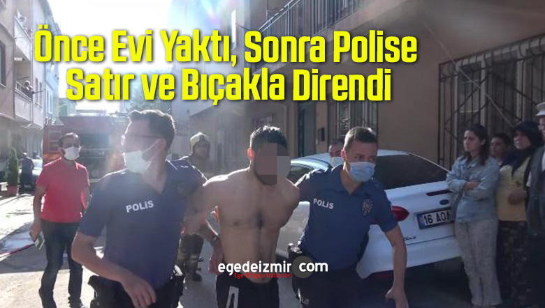 satır