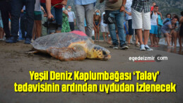 Yeşil Deniz Kaplumbağası ‘Talay’ tedavisinin ardından uydudan izlenecek