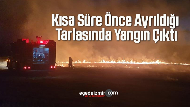 tarlasında