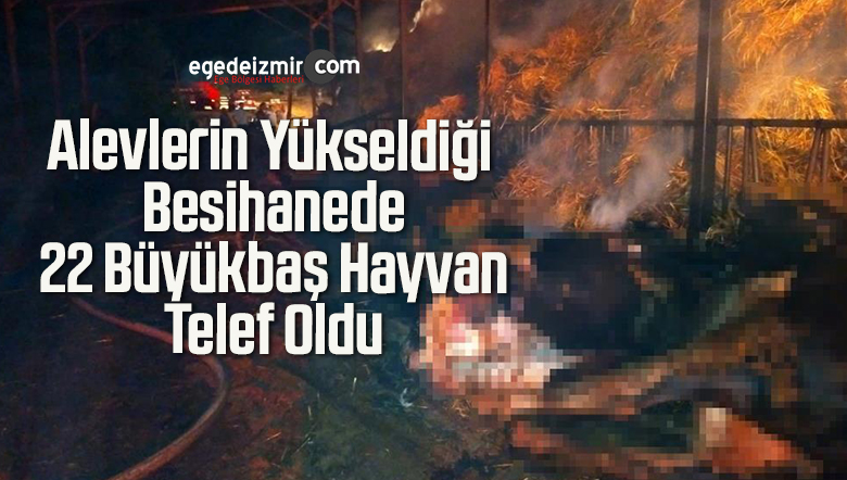 telef oldu