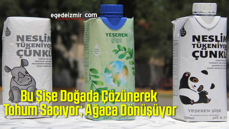 Şişe
