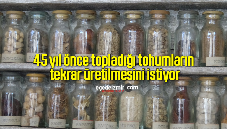 tohum