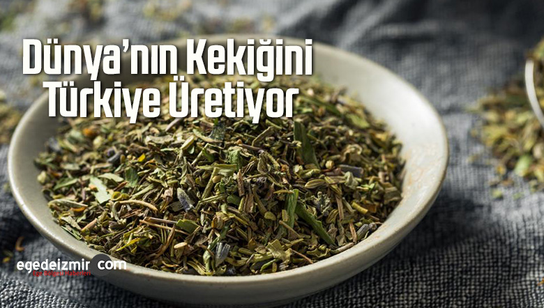 türkiye üretiyor