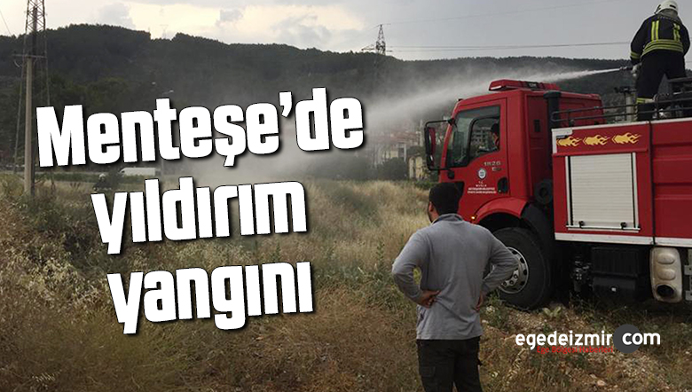 yangın