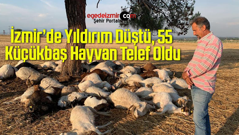 yıldırım