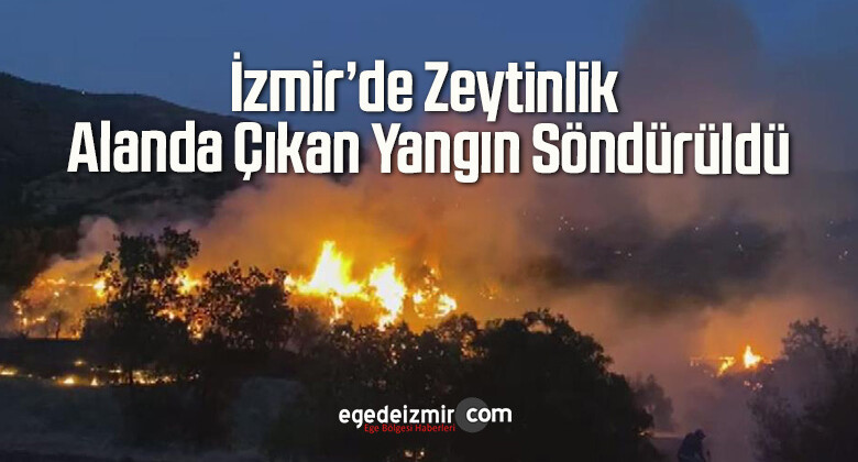 İzmir’de Zeytinlik Alanda Çıkan Yangın Söndürüldü