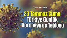23 Temmuz Cuma Türkiye Günlük Koronavirüs Tablosu