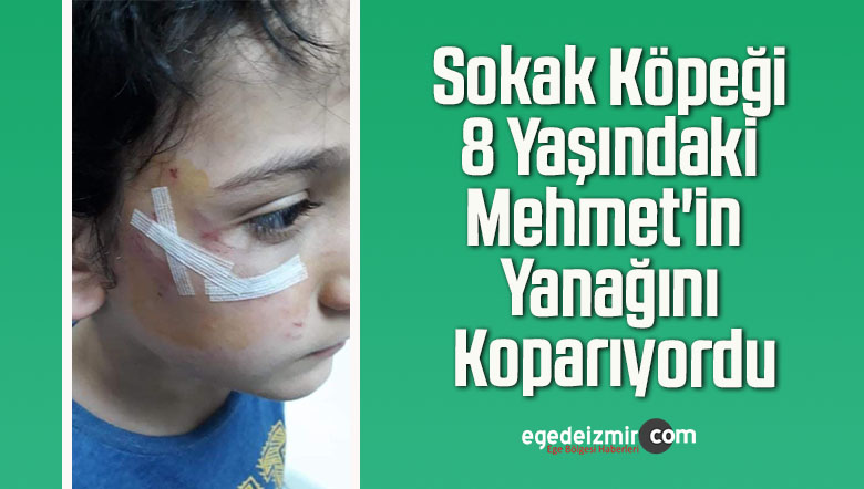 8 yaşındaki