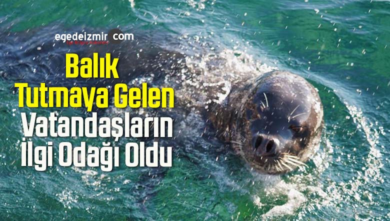 balık tutmaya