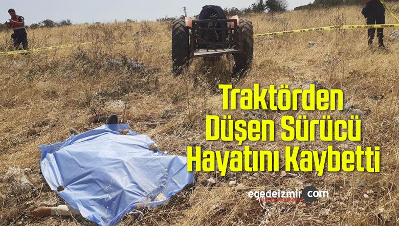 düşen sürücü