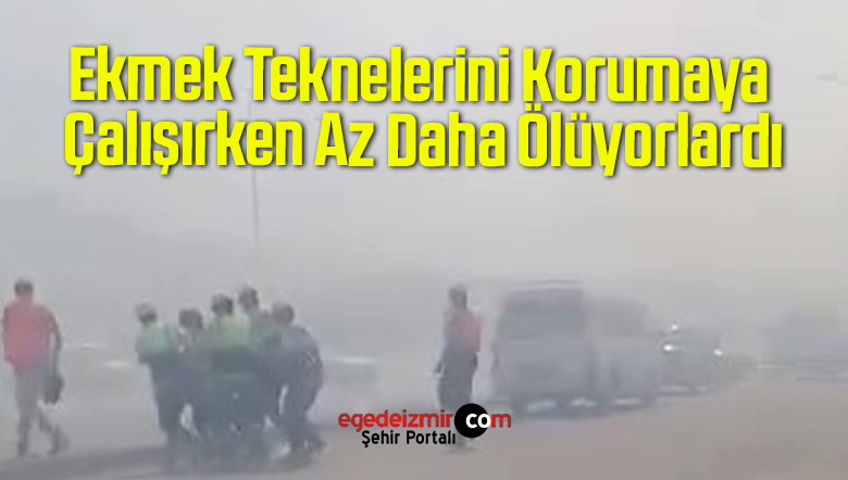 ekmek