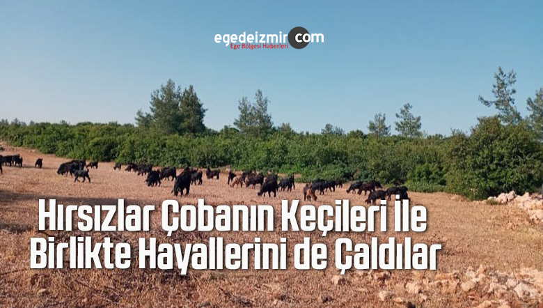 hırsızlar