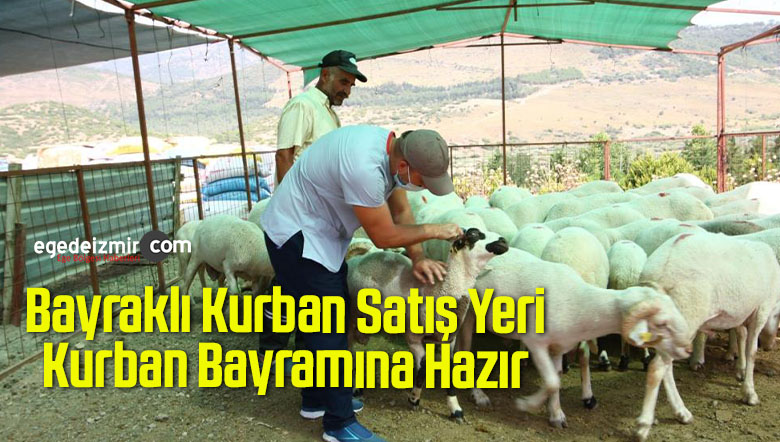 kurban satış