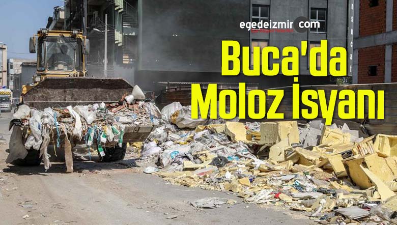 moloz isyanı