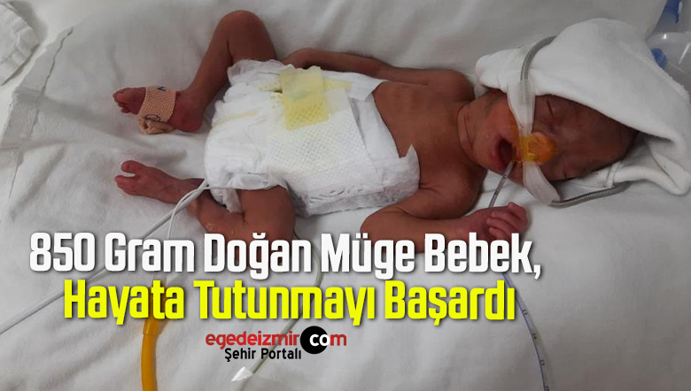 müge bebek