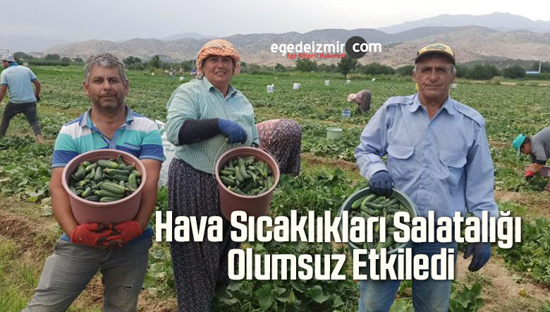 olumsuz