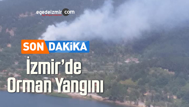 orman yangını