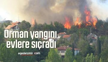 Orman yangını evlere sıçradı