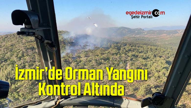 orman yangını