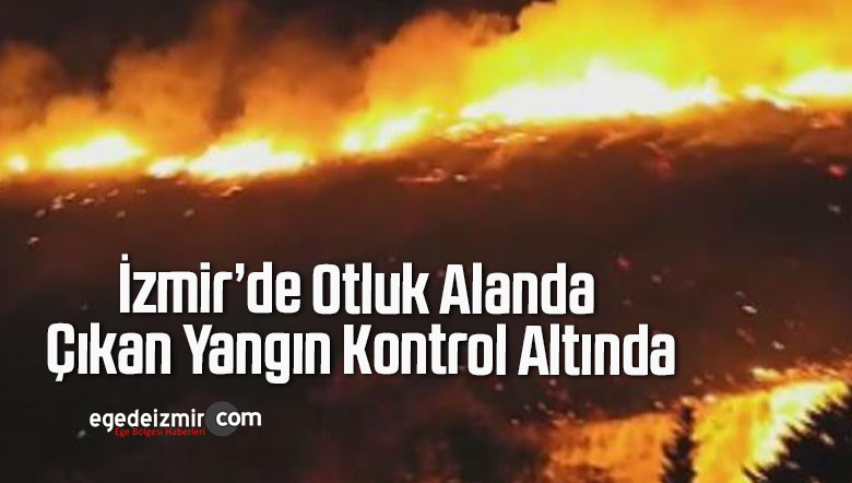 İzmir’de Otluk Alanda Çıkan Yangın Kontrol Altında