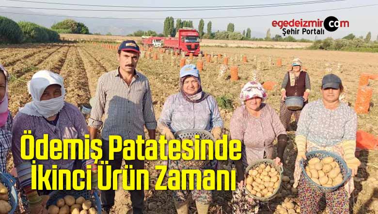 patatesinde