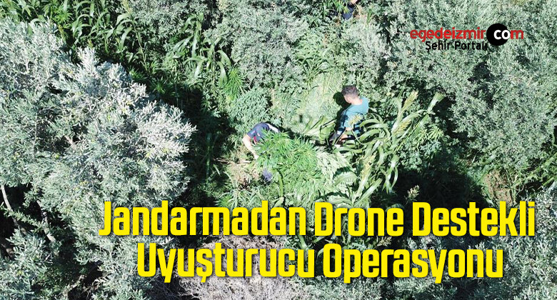 Jandarmadan Drone Destekli Uyuşturucu Operasyonu