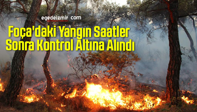 yangın
