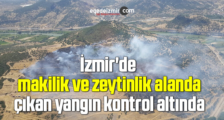 İzmir’de makilik ve zeytinlik alanda çıkan yangın kontrol altında