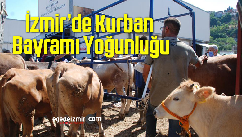 yoğunluğu