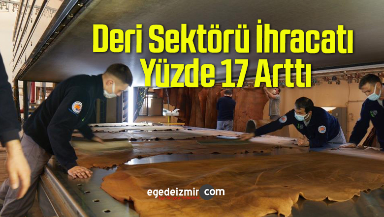 yüzde 17