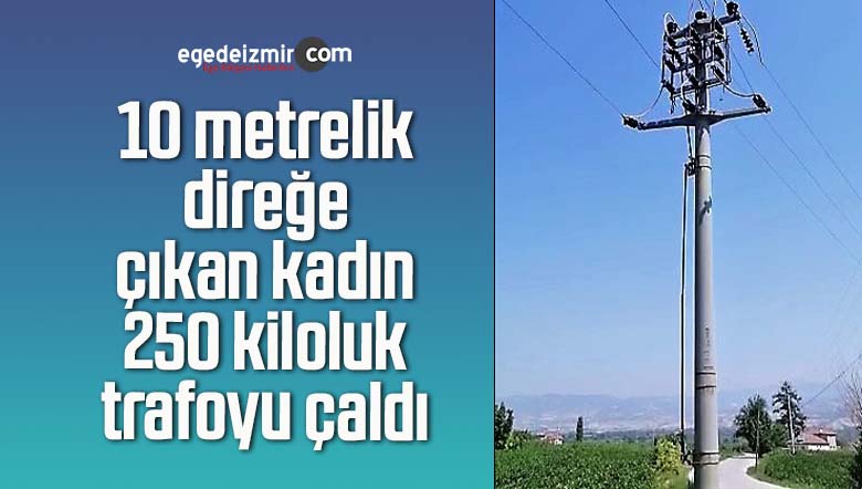 10 metrelik