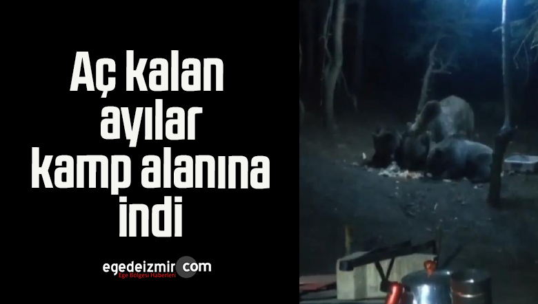 aç kalan