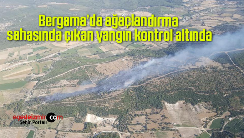 ağaçlandırma