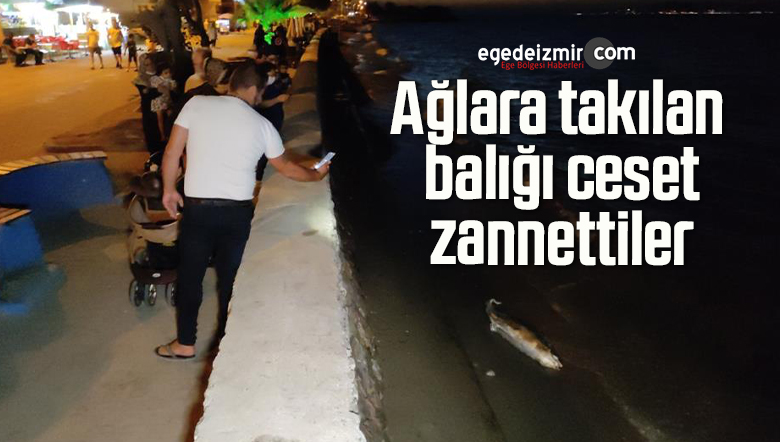 ağlara takılan