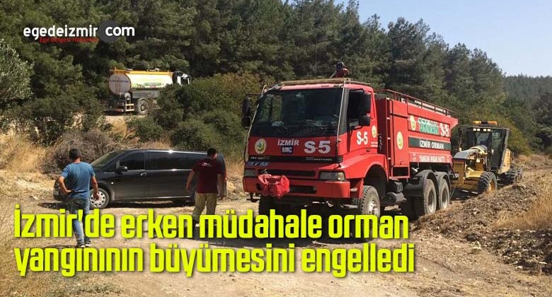 İzmir’de erken müdahale orman yangınının büyümesini engelledi