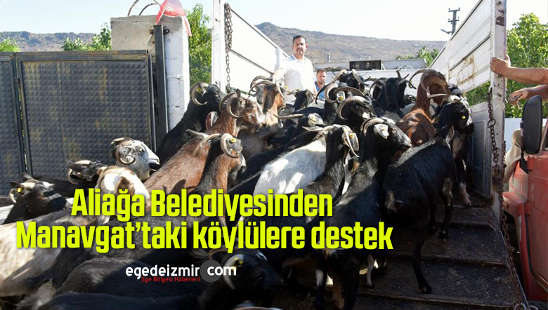 destek
