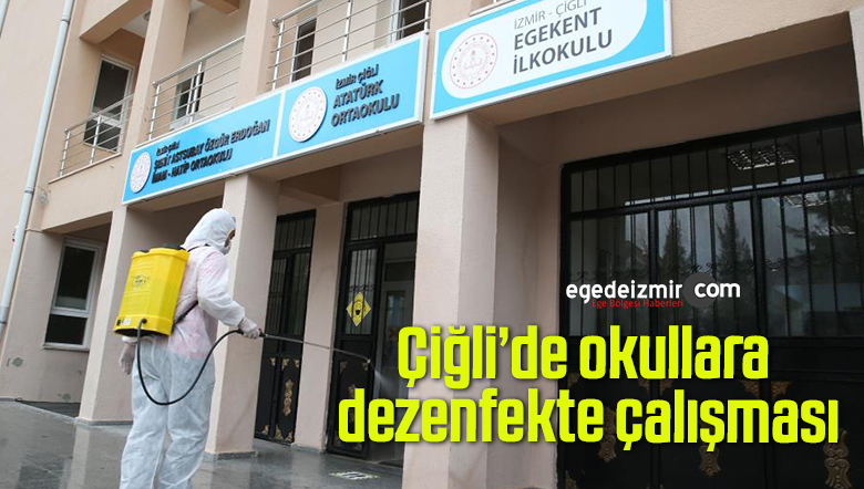 dezenfekte