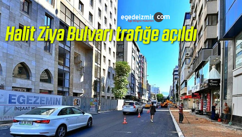 halit ziya