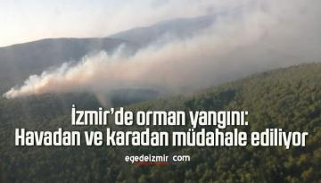 İzmir’de orman yangını: Havadan ve karadan müdahale ediliyor