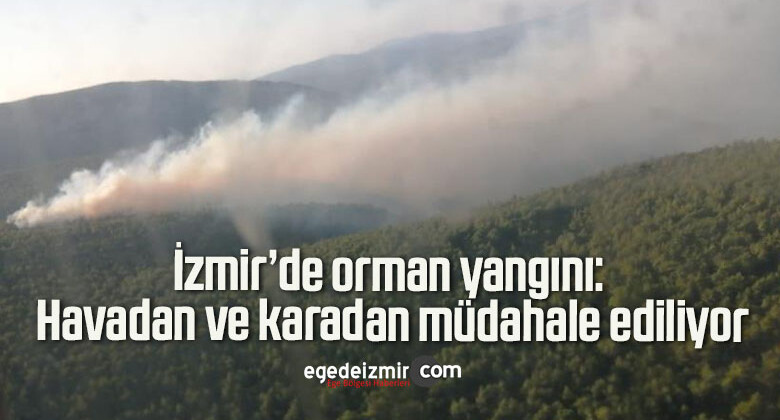 İzmir’de orman yangını: Havadan ve karadan müdahale ediliyor